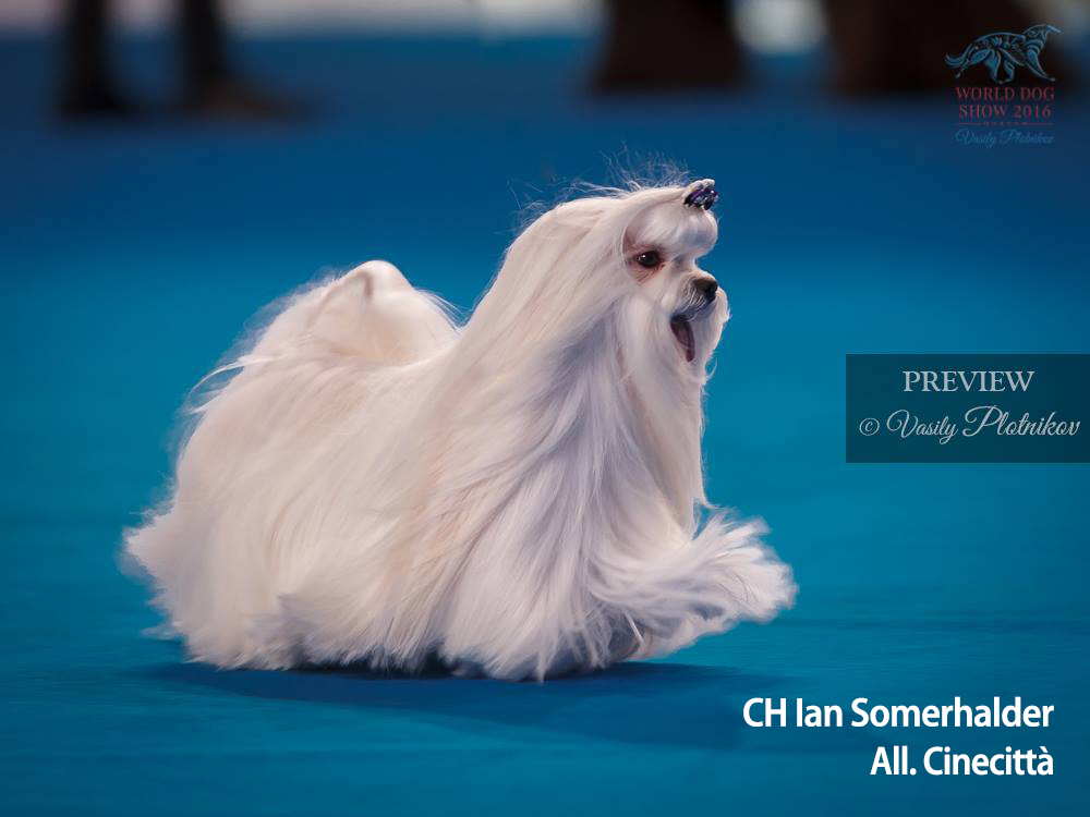 Solaro H | Guaina – Balsamo Spray - immagine 9