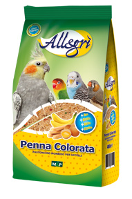 Allegrì Penna Colorata 400g