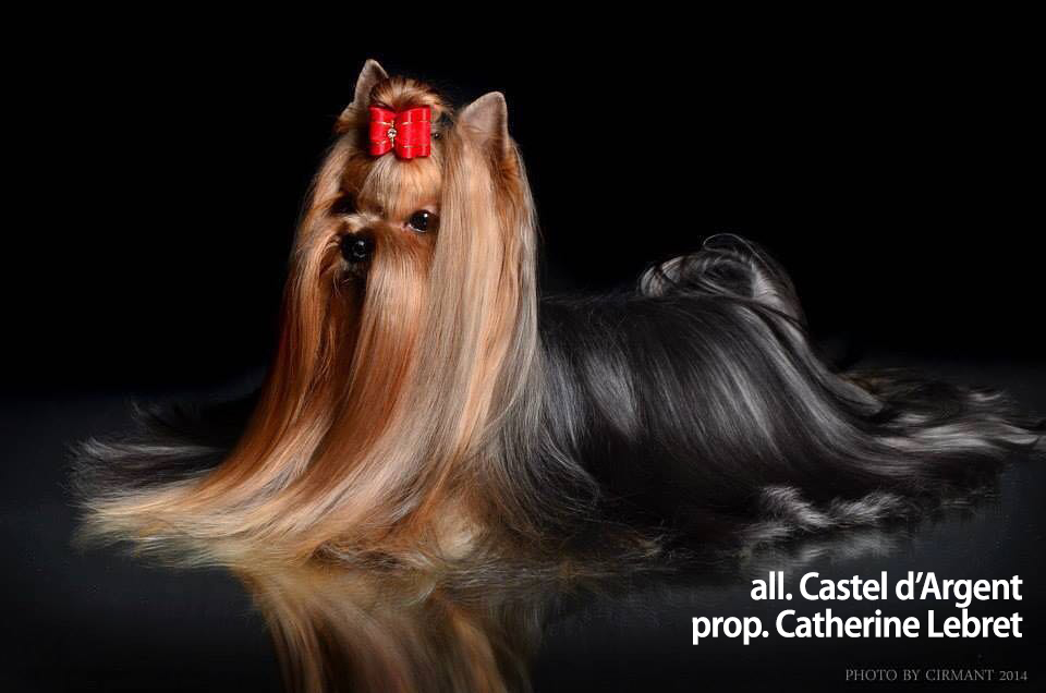 Solaro H | Guaina – Balsamo Spray - immagine 5