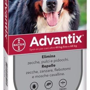 Advantix 40-60Kg 4pz x6,0ml