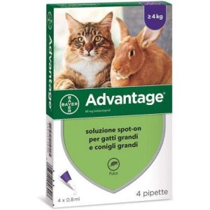 Advantage Gatto >4kg – 4 Pipette