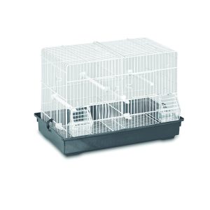 Gabbia Uccelli Cova Mis.1