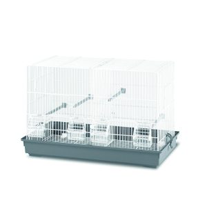 Gabbia Uccelli Cova Mis.2