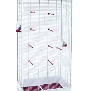 Voliera Uccelli Valeria + Accessori