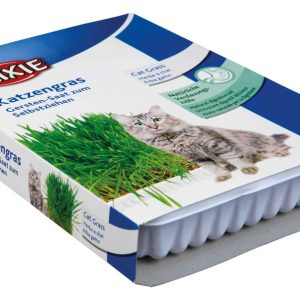 Vaschetta Erba Gatto 100g
