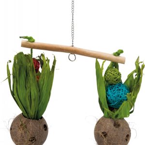 Altalena con Noci di Cocco per Uccelli, 50cm
