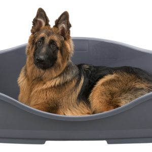 Cuccia Siesta Sleeper