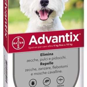 Advantix 4-10Kg 6pz x 1,0ml