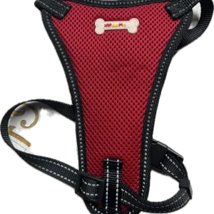 “Comoda Pettorina in Rete Traspirante con Design Ergonomico”