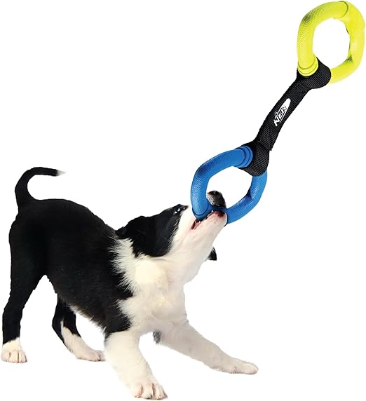 Nerf Dog - Anelli in Gomma Gioco Galleggiante per Cani - immagine 3