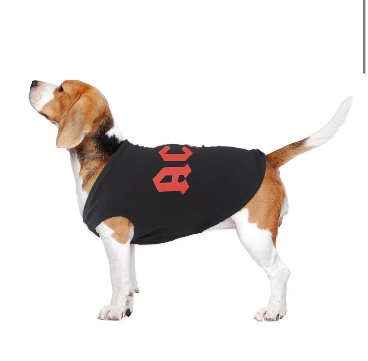 Maglietta AC/DC: Rock ‘n’ Roll per il Tuo Cane - immagine 7