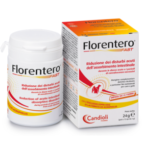 Florentero Fast 12cpr
