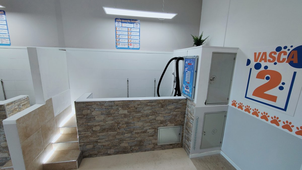 – SELF SERVICE DOG WASH – MODELLO SMART - immagine 5