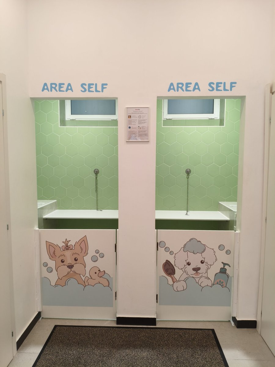 – SELF SERVICE DOG WASH – MODELLO SMART - immagine 8