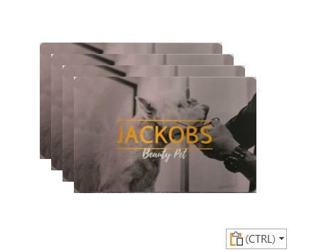 TESSERE RFID RICARICABILI PER SISTEMA ALL-INN E AGS - immagine 2