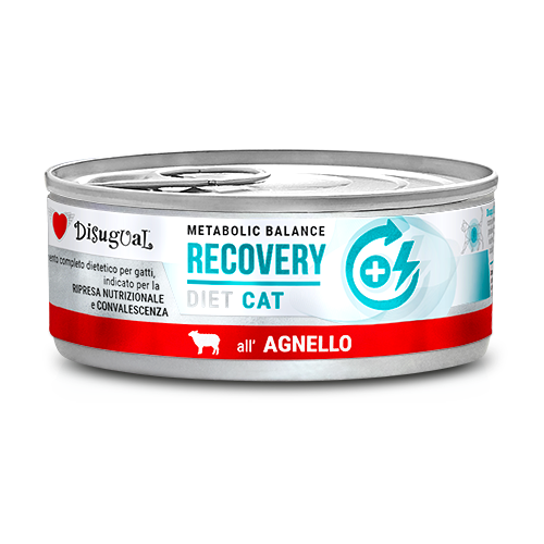 Disugual Metabolic Balance Recovery 85g - immagine 2