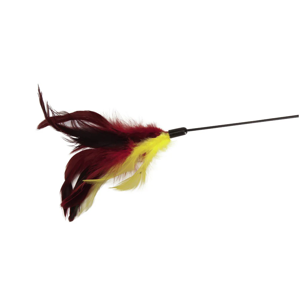 Camon Cannetta con piume vari colori - immagine 2