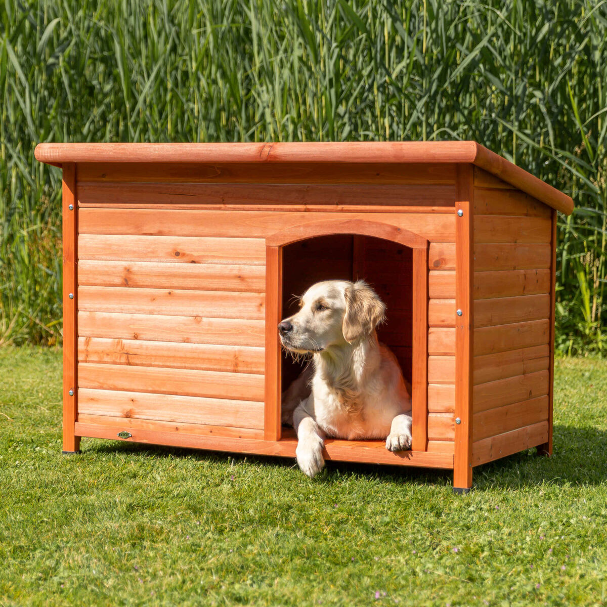 Casetta Classic in Legno per Cani – Taglia L