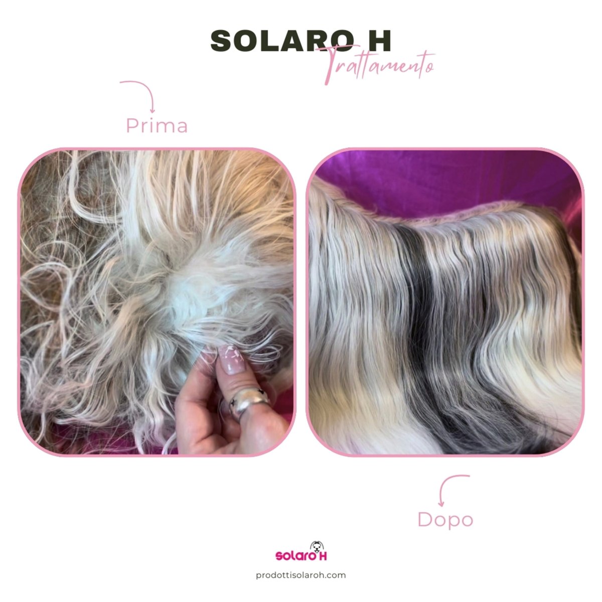 Solaro H | Conditioner Lucidante Cani – Rugiada Spray Gold - immagine 4