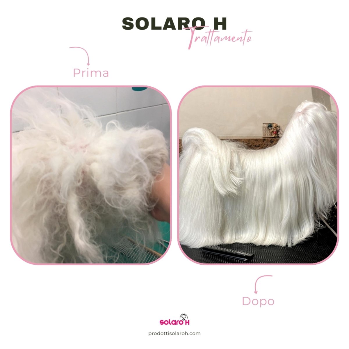 Solaro H | Sciogli Nodi per Cani – Super Flash Gold Spray - immagine 3