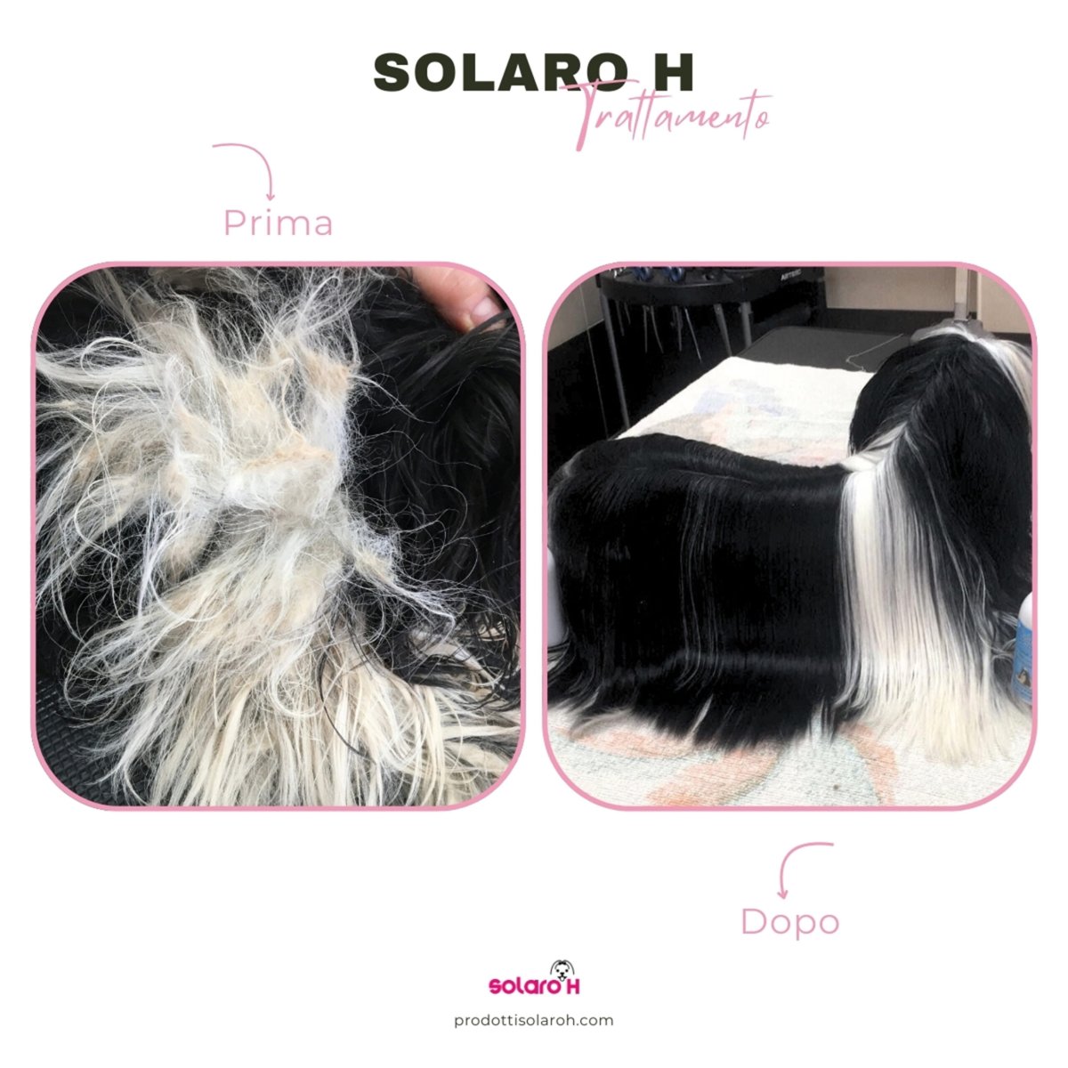 Solaro H | Shampoo per Cani Lucidante Esalta Colori – Indaco - immagine 4