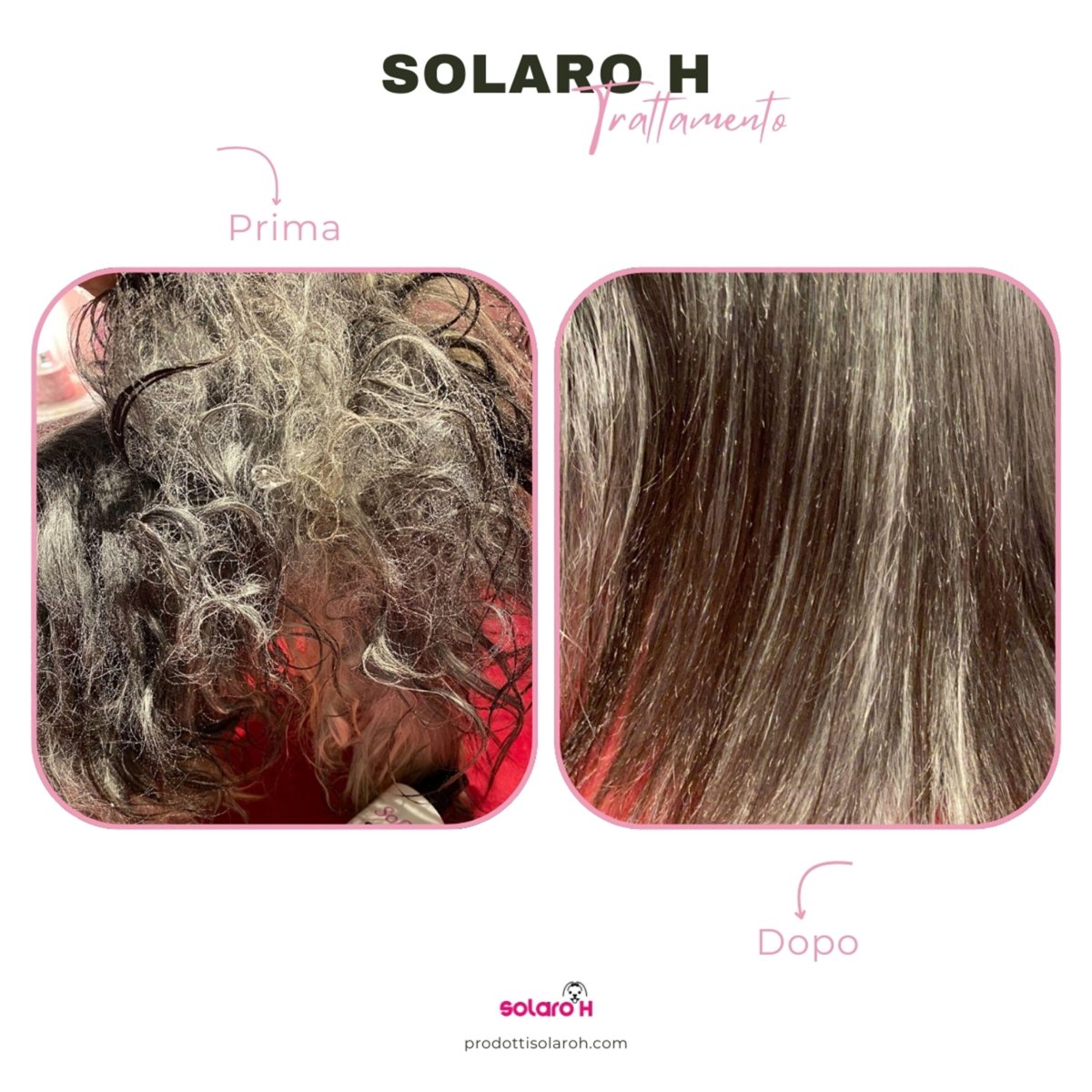 Solaro H | Balsamo Districante per Cani – Guaina Gold 2 in 1 - immagine 5